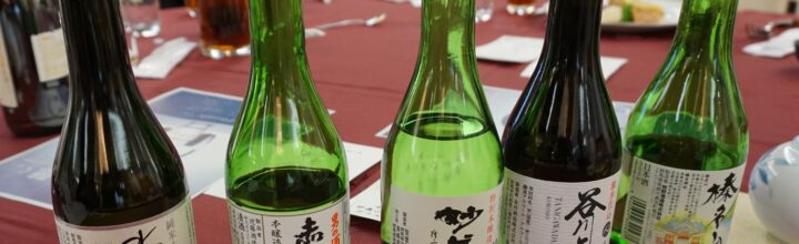 『第１１回春の集い』の報告